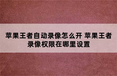 苹果王者自动录像怎么开 苹果王者录像权限在哪里设置